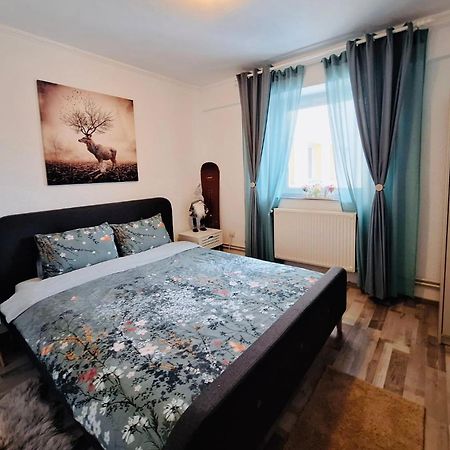 Hellen Studio Predeal Zewnętrze zdjęcie