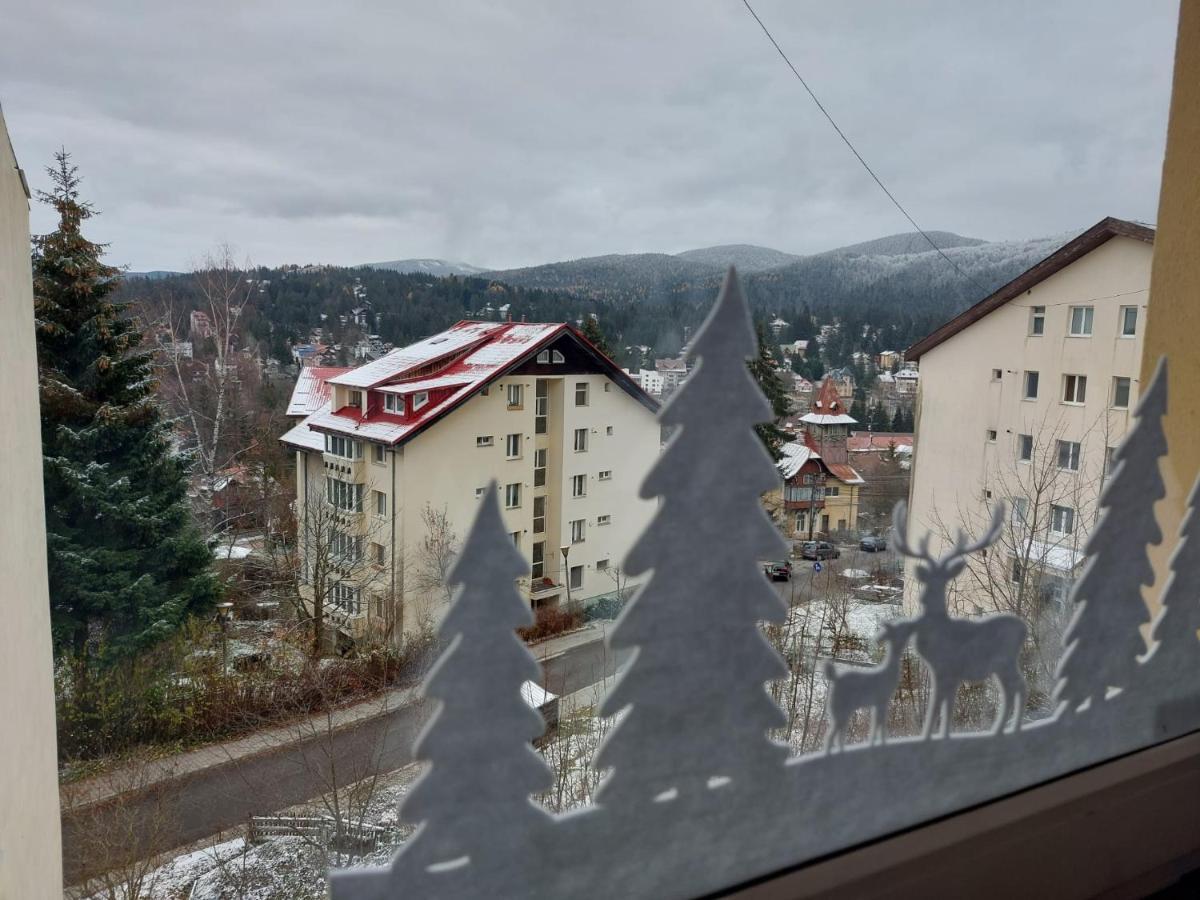 Hellen Studio Predeal Zewnętrze zdjęcie