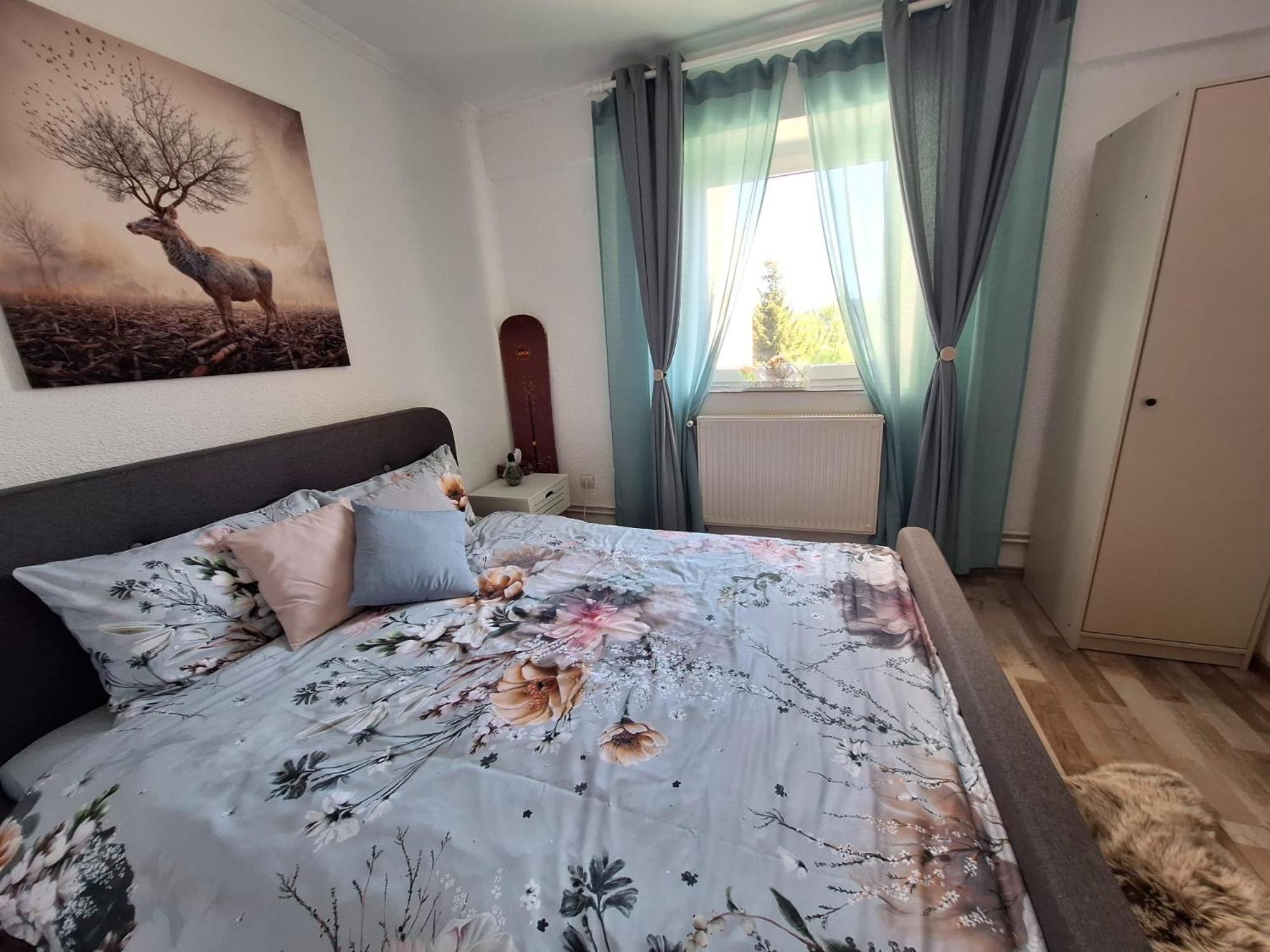 Hellen Studio Predeal Zewnętrze zdjęcie